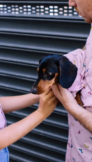 couple in matching pink dachshund shirts